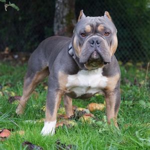 Meet your Posher, Krysta